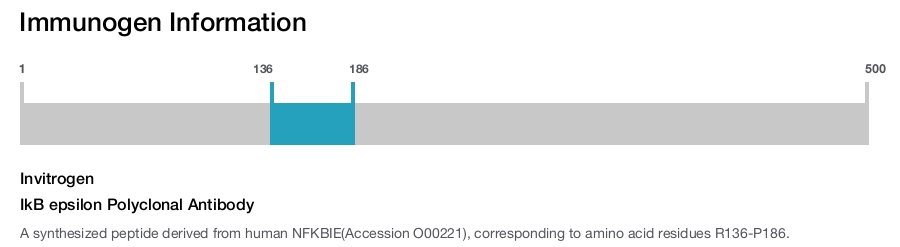 IkB epsilon Polyclonal Antibody
