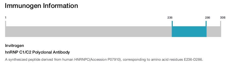 hnRNP C1/C2 Polyclonal Antibody