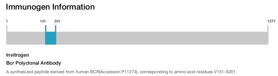 Bcr Polyclonal Antibody