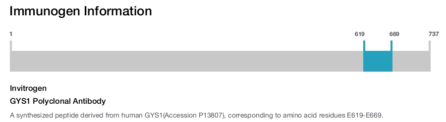 GYS1 Polyclonal Antibody