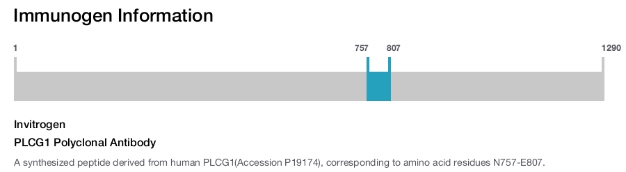 PLCG1 Polyclonal Antibody