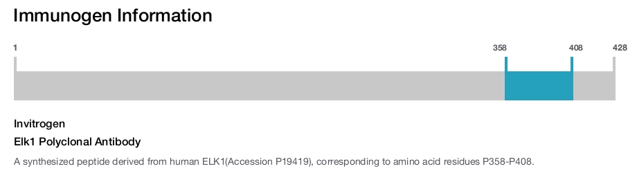 Elk1 Polyclonal Antibody