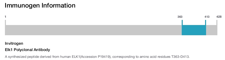 Elk1 Polyclonal Antibody