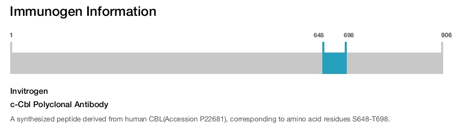 c-Cbl Polyclonal Antibody