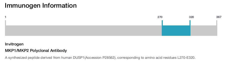 MKP1/MKP2 Polyclonal Antibody