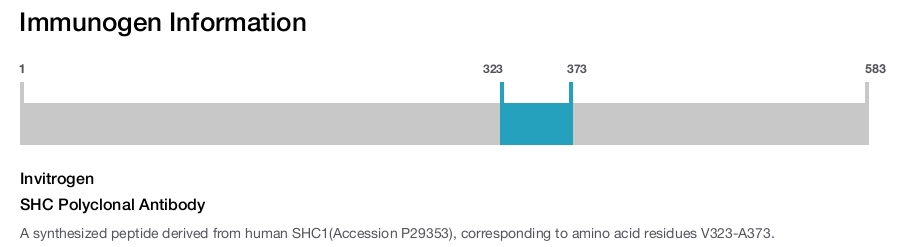 SHC Polyclonal Antibody