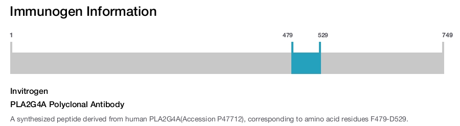 PLA2G4A Polyclonal Antibody