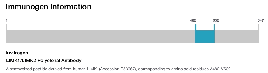 LIMK1/LIMK2 Polyclonal Antibody