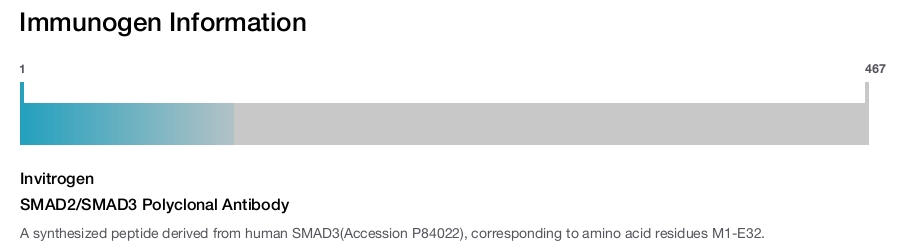 SMAD2/SMAD3 Polyclonal Antibody