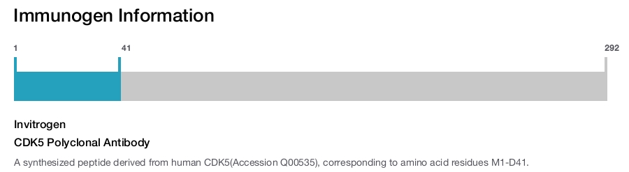 CDK5 Polyclonal Antibody