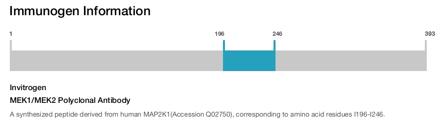 MEK1/MEK2 Polyclonal Antibody
