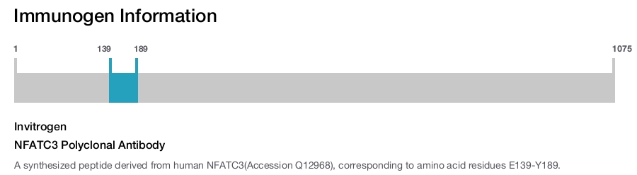 NFATC3 Polyclonal Antibody