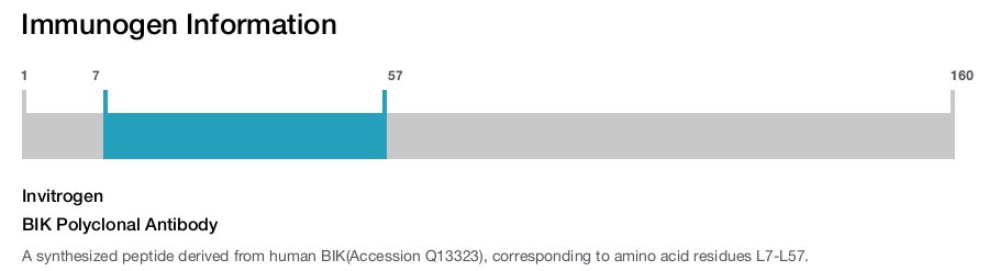 BIK Polyclonal Antibody