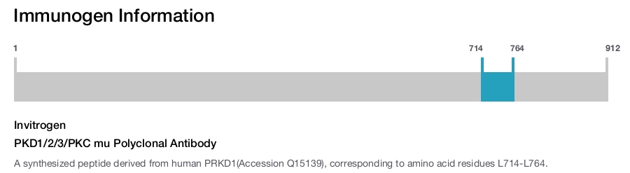 PKD1/2/3/PKC mu Polyclonal Antibody