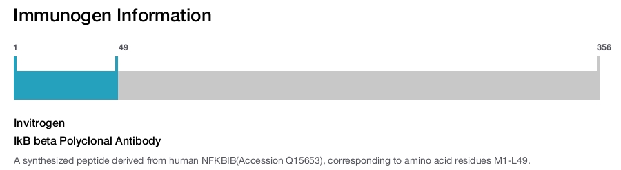 IkB beta Polyclonal Antibody