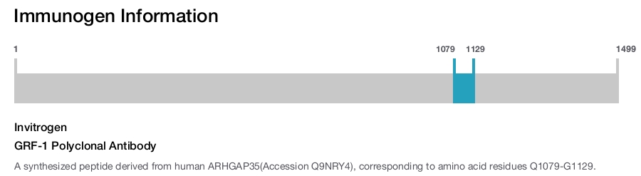 GRF-1 Polyclonal Antibody