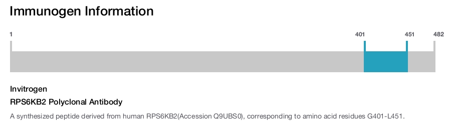 RPS6KB2 Polyclonal Antibody