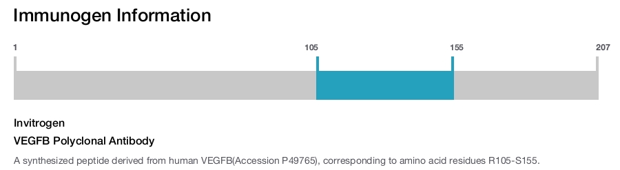 VEGFB Polyclonal Antibody