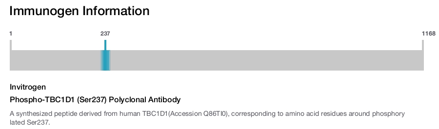 Phospho-TBC1D1 (Ser237) Polyclonal Antibody