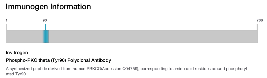 Phospho-PKC theta (Tyr90) Polyclonal Antibody