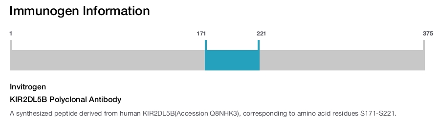 KIR2DL5B Polyclonal Antibody