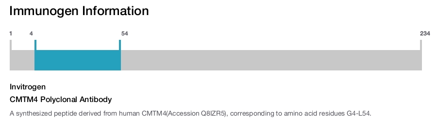 CMTM4 Polyclonal Antibody