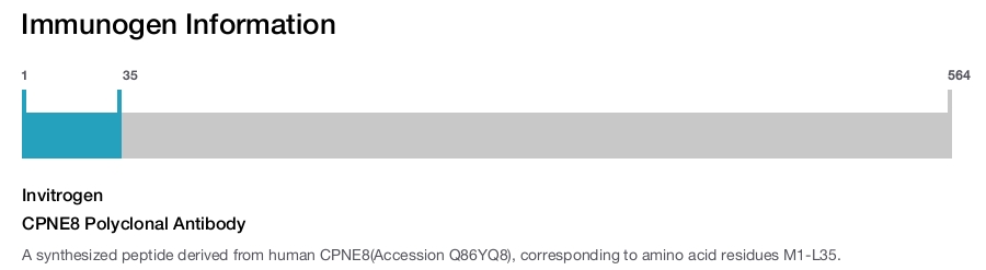 CPNE8 Polyclonal Antibody