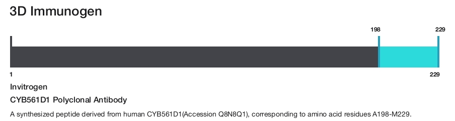 CYB561D1 Polyclonal Antibody