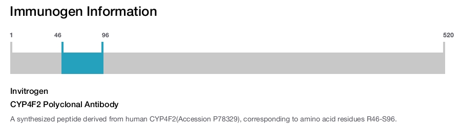 CYP4F2 Polyclonal Antibody