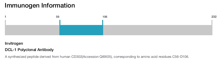 DCL-1 Polyclonal Antibody