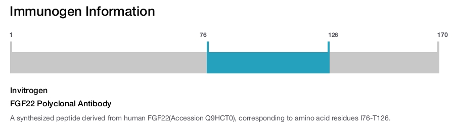 FGF22 Polyclonal Antibody