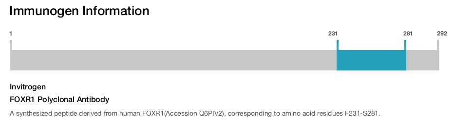 FOXR1 Polyclonal Antibody