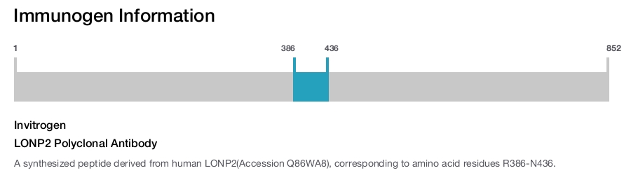 LONP2 Polyclonal Antibody