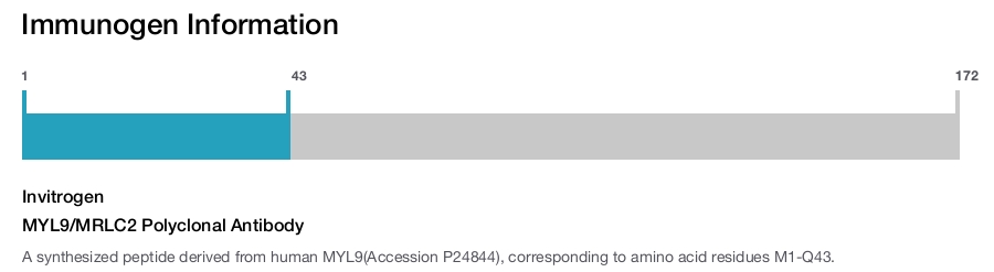 MYL9/MRLC2 Polyclonal Antibody