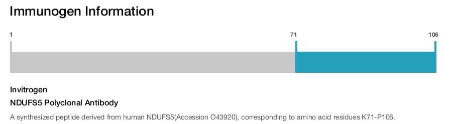 NDUFS5 Polyclonal Antibody