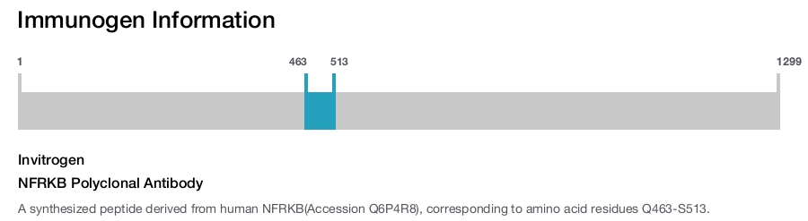 NFRKB Polyclonal Antibody