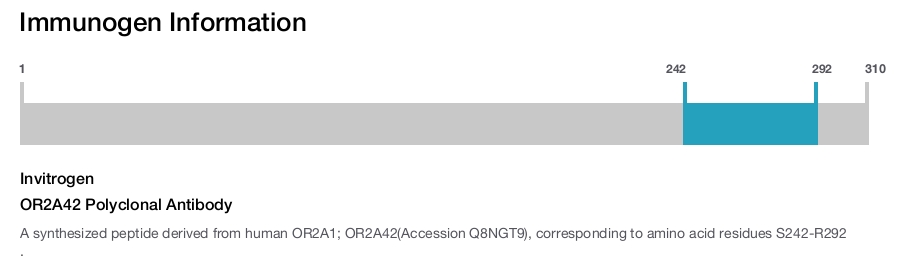 OR2A42 Polyclonal Antibody