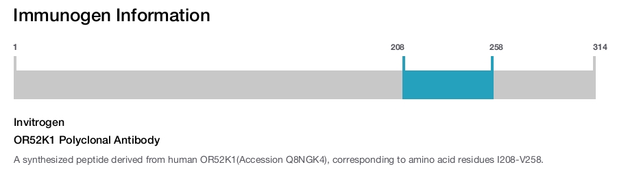 OR52K1 Polyclonal Antibody