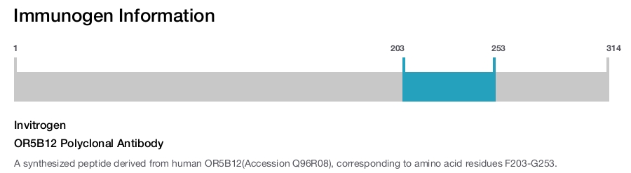 OR5B12 Polyclonal Antibody