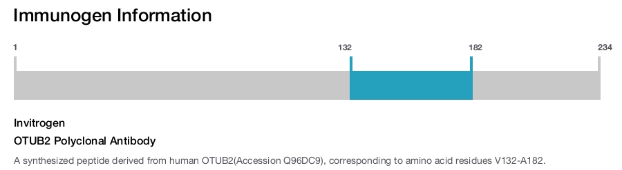 OTUB2 Polyclonal Antibody