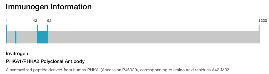 PHKA1/PHKA2 Polyclonal Antibody