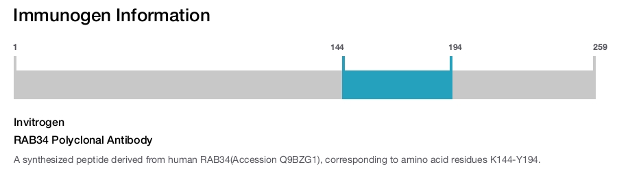 RAB34 Polyclonal Antibody
