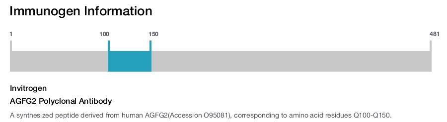 AGFG2 Polyclonal Antibody