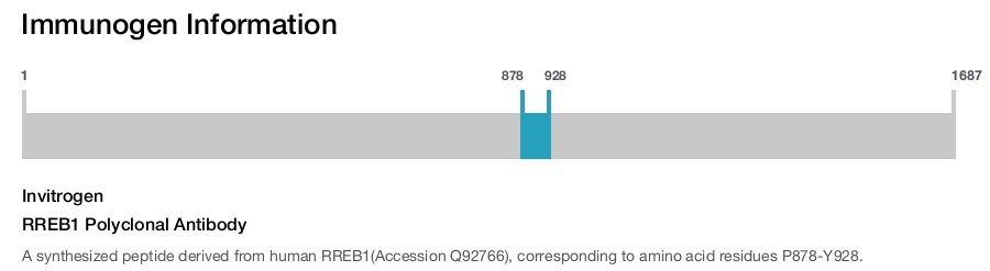 RREB1 Polyclonal Antibody