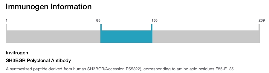 SH3BGR Polyclonal Antibody