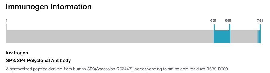 SP3/SP4 Polyclonal Antibody