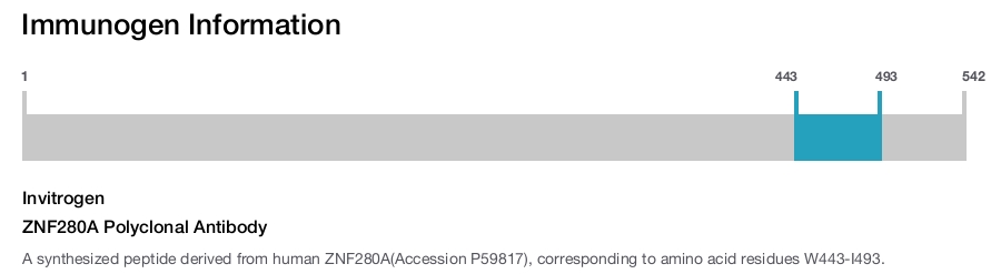 ZNF280A Polyclonal Antibody