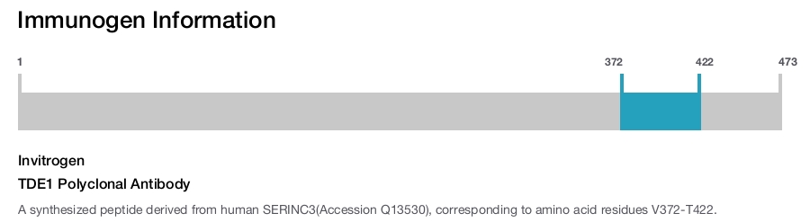 TDE1 Polyclonal Antibody