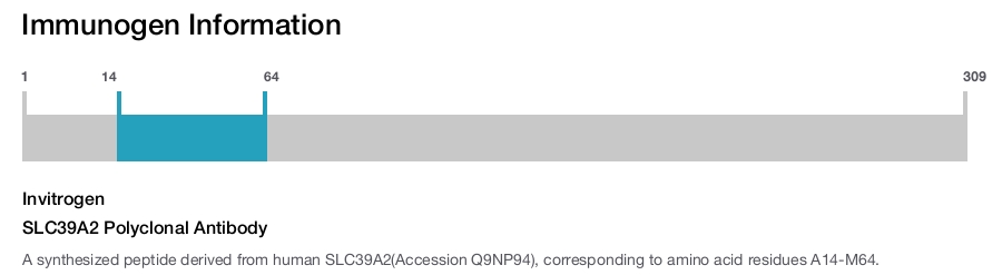SLC39A2 Polyclonal Antibody
