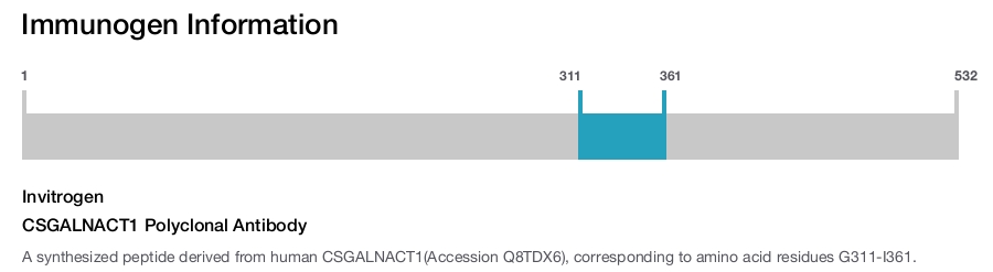 CSGALNACT1 Polyclonal Antibody